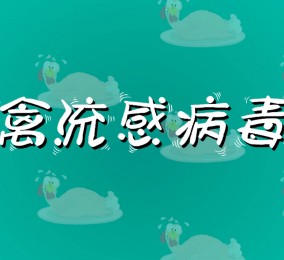 食品有意思：如何預防禽流感病毒感染？ 