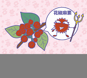 科普視頻：花椒為什么那么麻？（匹配百科詞條：花椒、花椒麻素）