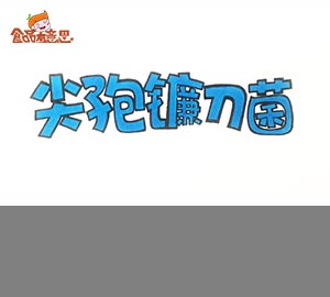 科普視頻:簡(jiǎn)說(shuō)尖孢鐮刀菌